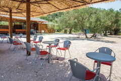 cdr297_outdoor_01